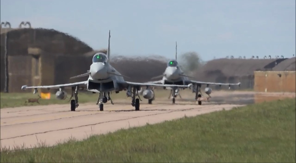  The wild animals dash between the two fighter jets