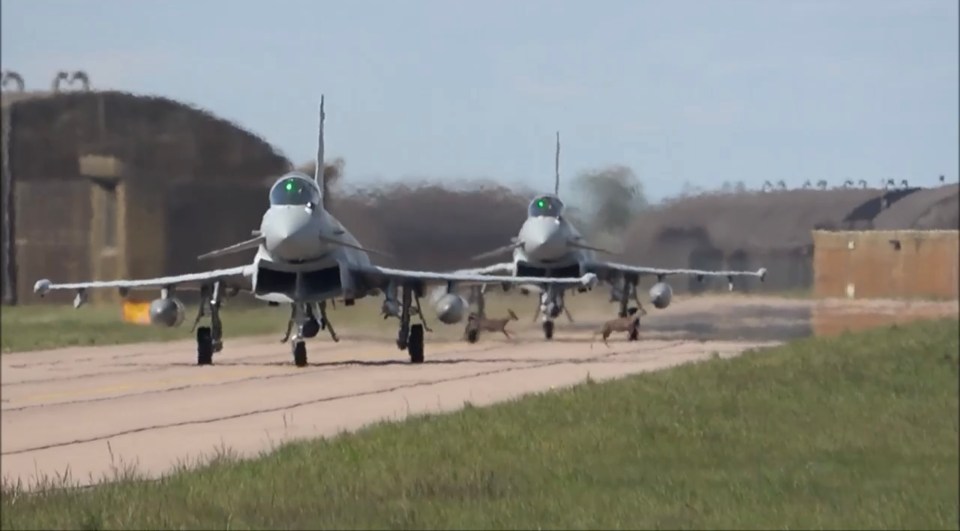  Deer jump in front of two taxiing Typhoons at an RAF base