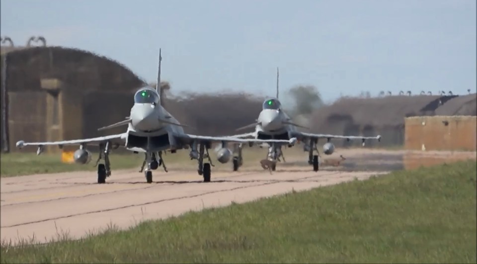  It looks like the deer marginally make it past the moving jets