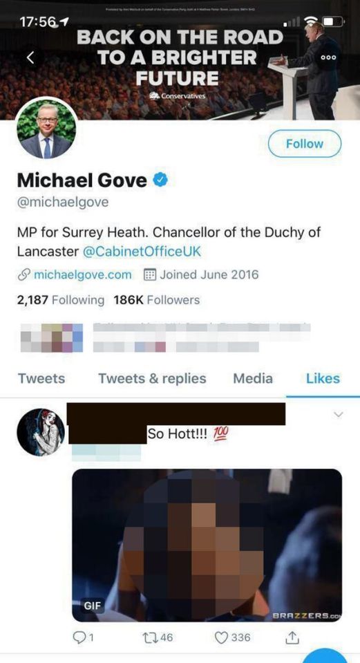  The post was a gif of a woman performing a sex act on a man with the words 'So Hott!!!'