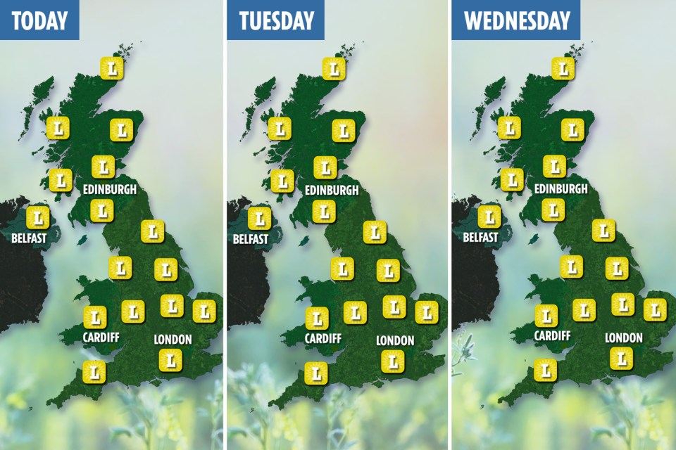  The map above shows the pollen count for the next three days