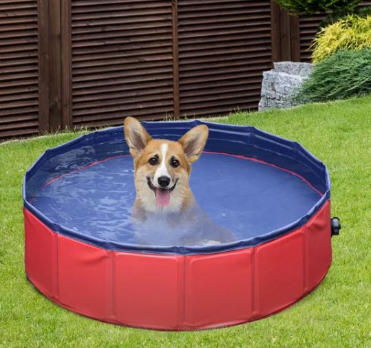 dog paddling pools