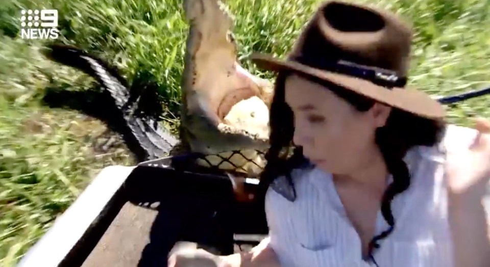Zarisha Bradley had a close call with the crocodile during her news report