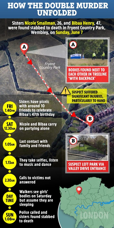 Police have today launched a fresh appeal to track down a knifeman who killed two sisters