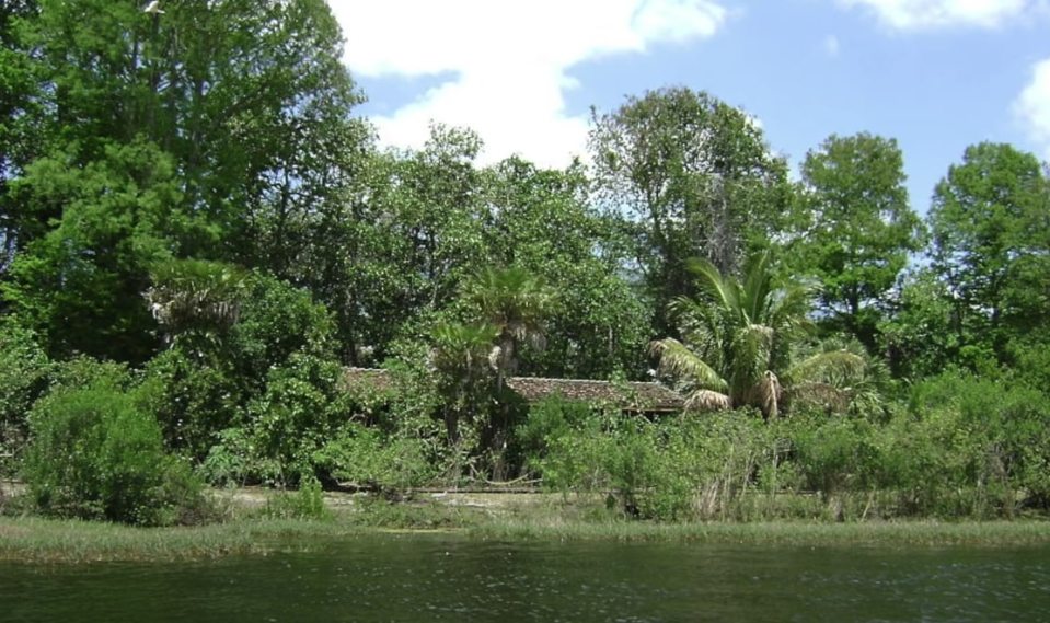 Discovery Island was home to wild animals and birds