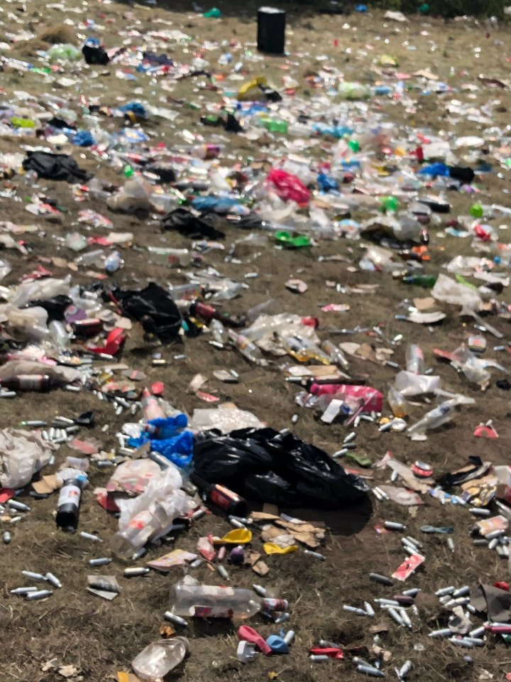rubbish rave