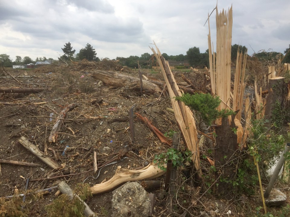 The locals are raising £100,000 to buy the patch of land amid fears it will become a traveller site 