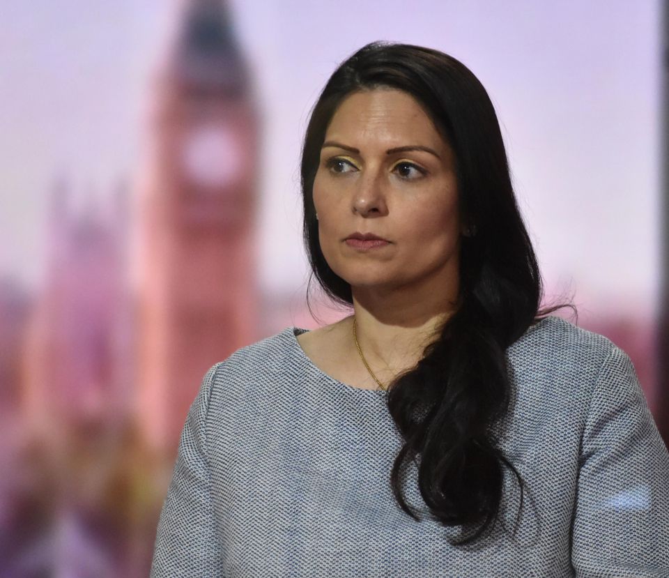 Priti Patel has been accused of 'covering up' an inquiry into Morgan's death