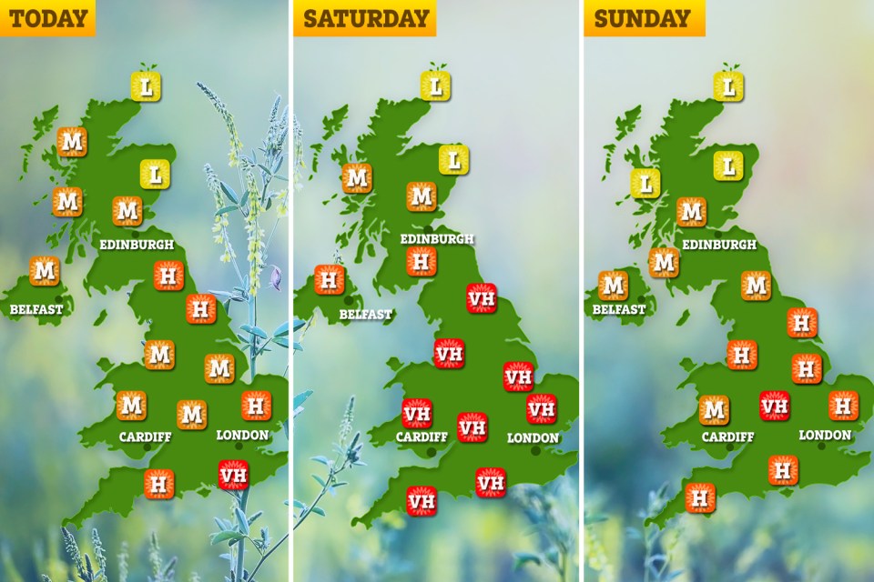 Pollen levels across the UK are set to hit very high tomorrow