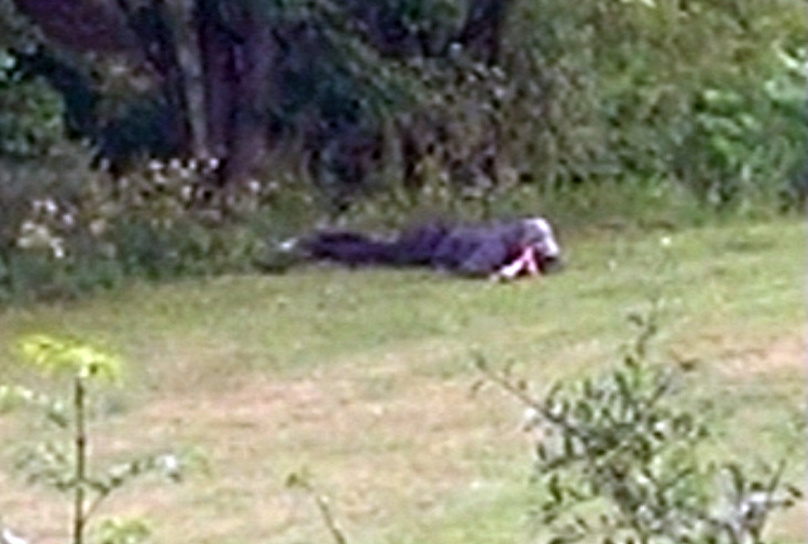 Raoul Moat holds a shotgun to his head during the stand off with police in Rothbury