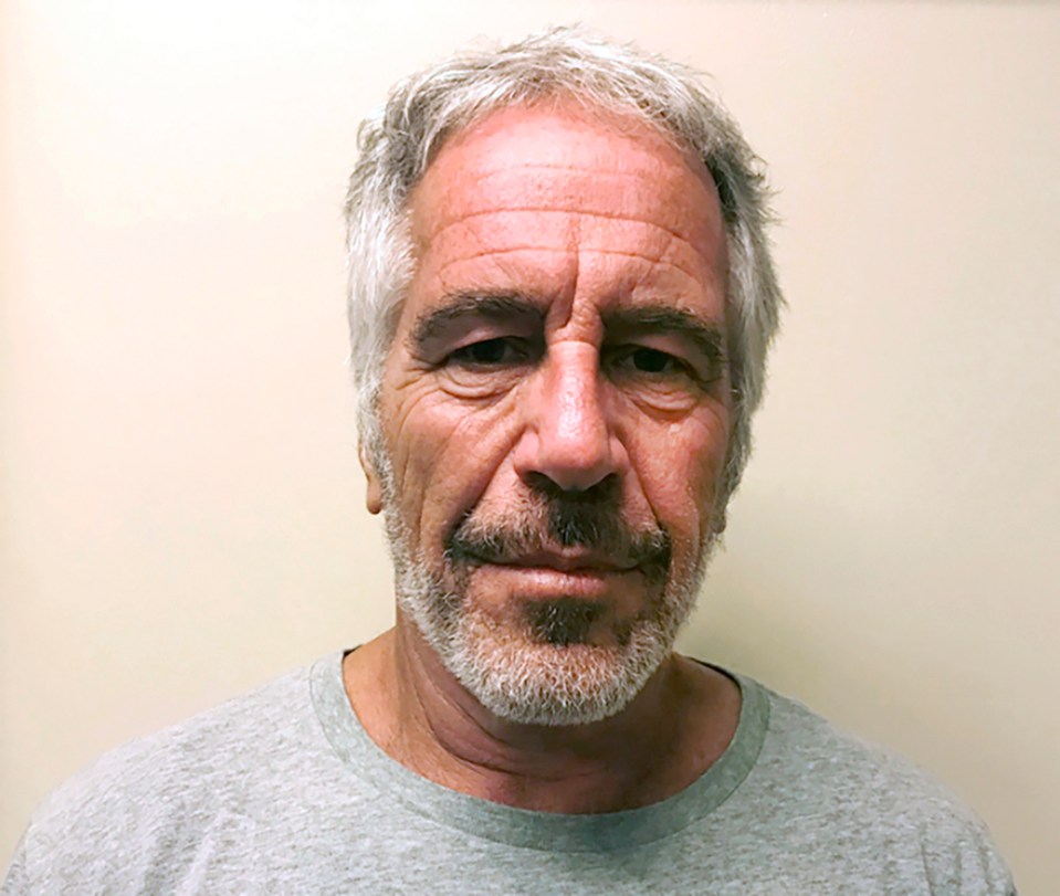 Epstein died in his cell at Manhattan Correctional Centre in August last year