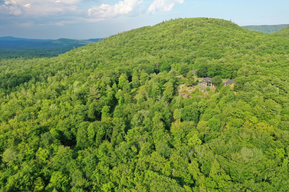 Aerial photos show the four-bedroom house in the middle of a large forest