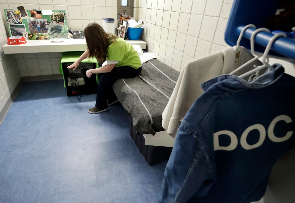 A cell at Merrimack County Jail, New Hampshire, where Ghislaine is being held