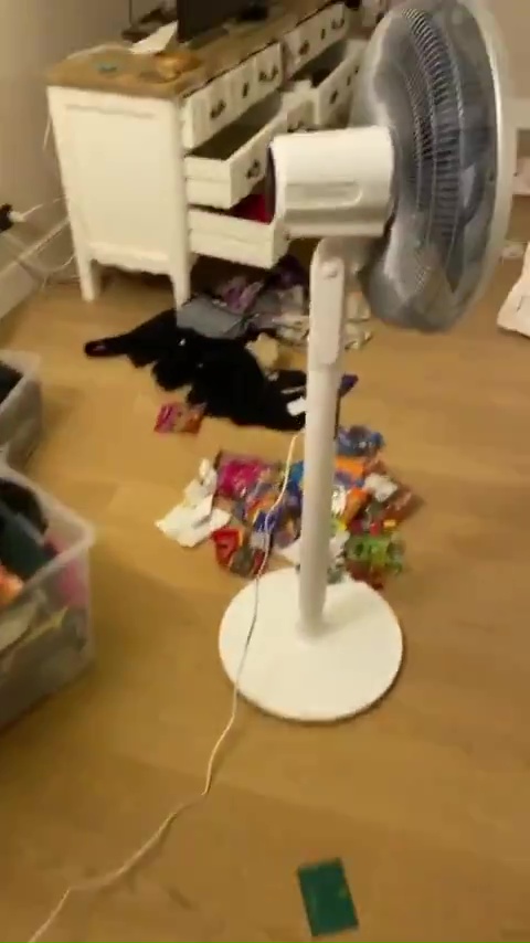 The French football veteran shared a video of his home 