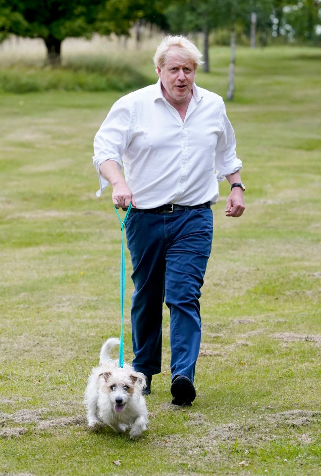 Boris out for a walk with his dog today to promote the new obesity strategy