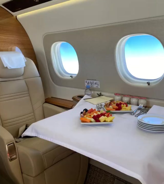 The Matic family dined on board the jet