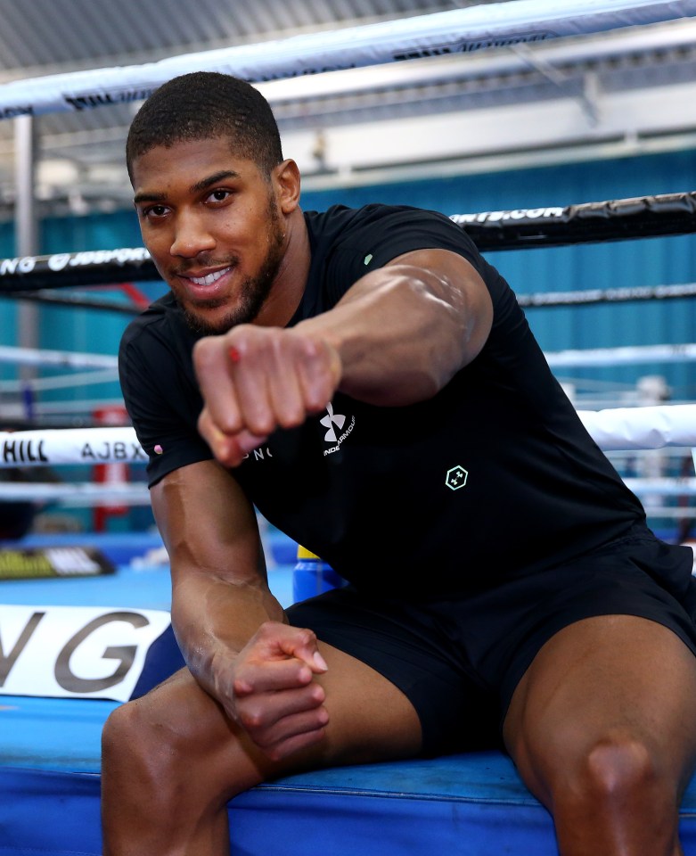 World champion Anthony Joshua has four months to prepare for his title defence against outsider Kubrat Pulev