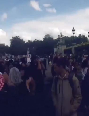  According to the Facebook event 231 people attended the protest organised by 'Freedom For The Children'