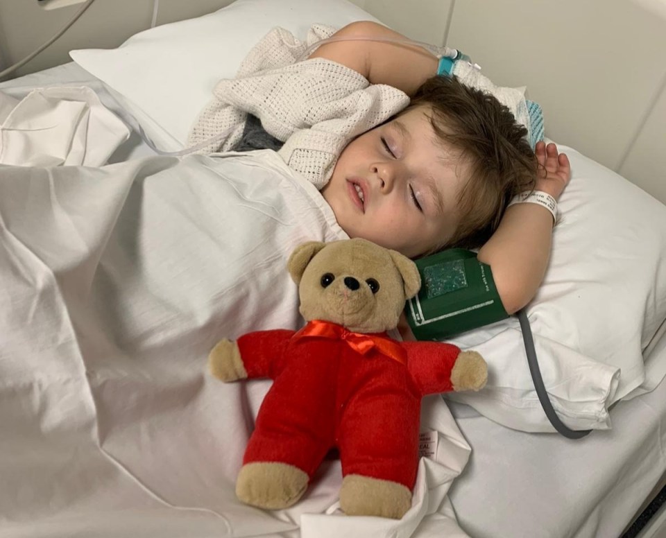 Lewis Wise, three, was left in 'excruciating pain' when he was bitten by an adder in Surrey