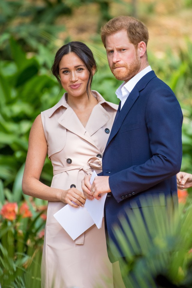 Harry and Meghan's Netflix shows are set to be snubbed by Brits