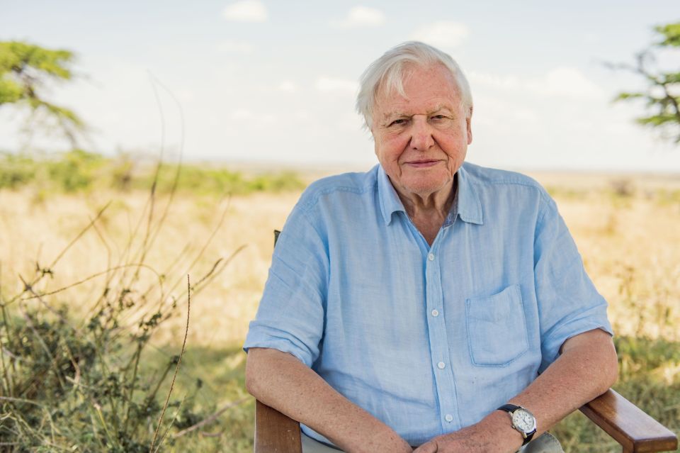 Saturday's copy of The Sun included a wonderful interview with Sir David Attenborough