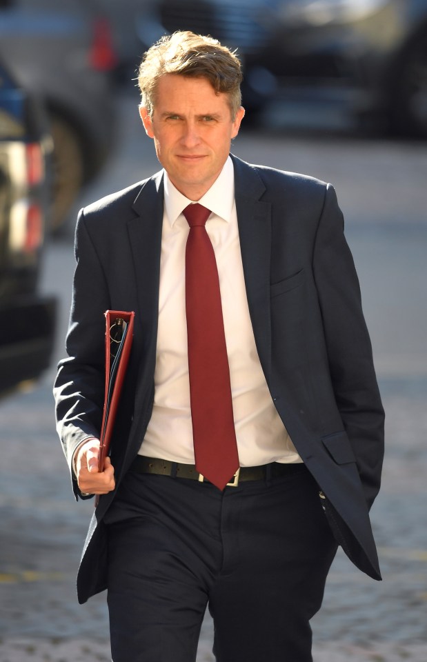 'Wally'  is another word for 'Gavin Williamson'