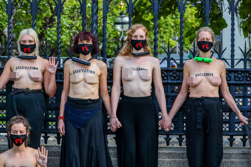 The eco-extremists locked themselves topless against the railings of the Houses of Parliament