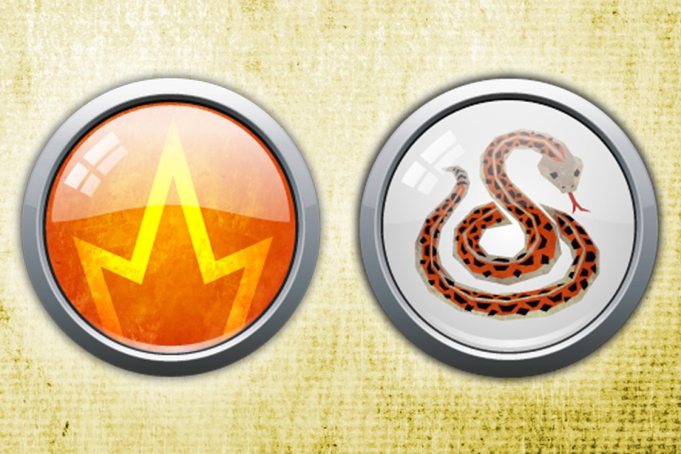 Fire Snakes are smart, insightful and communicative