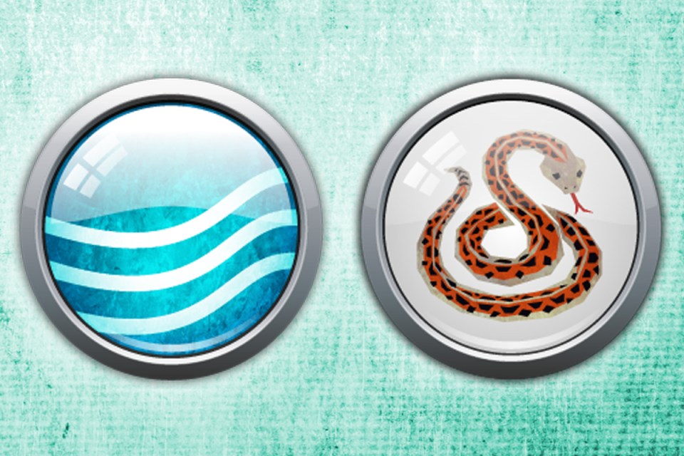 Water Snakes are clever, creative, lively, and communicative