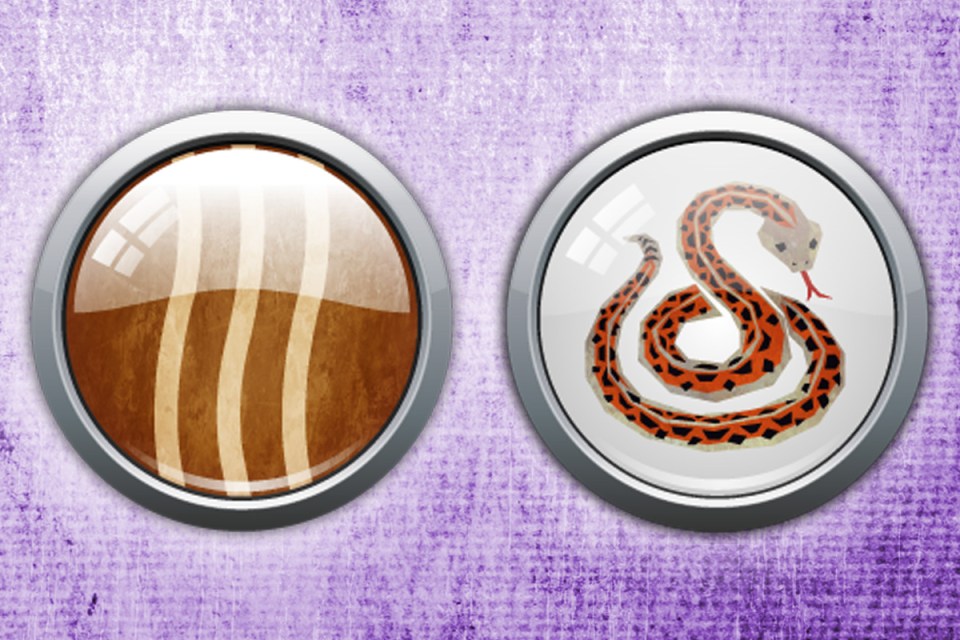 Wood Snakes have very refined taste