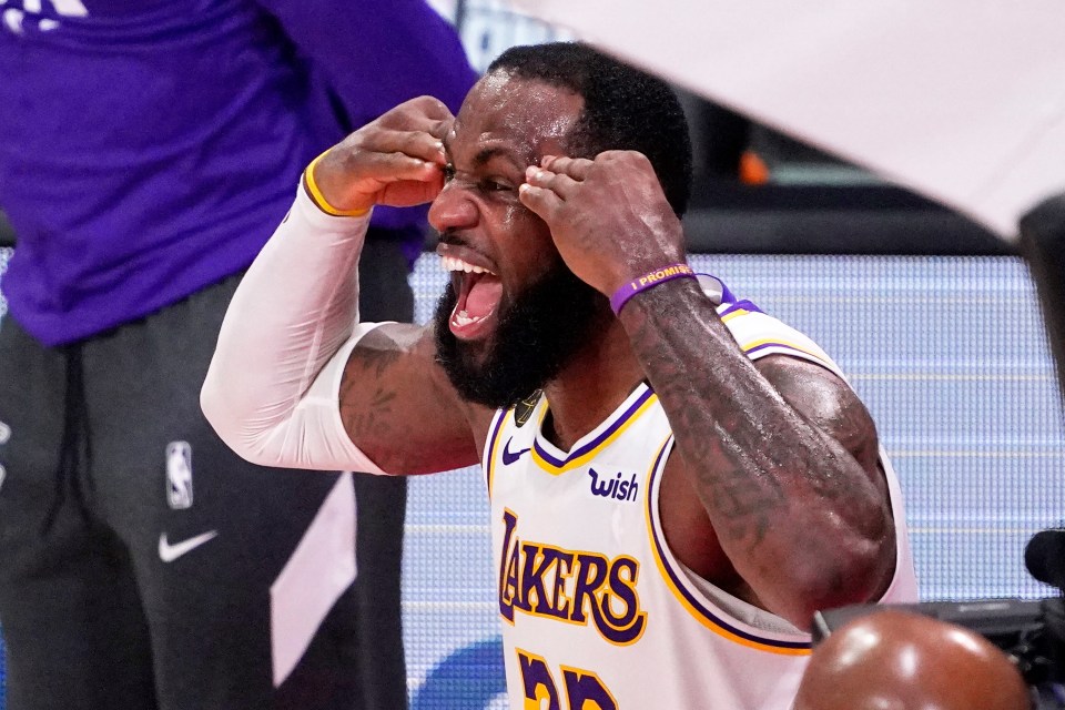 Lebron James is a Rat in the Chinese zodiac