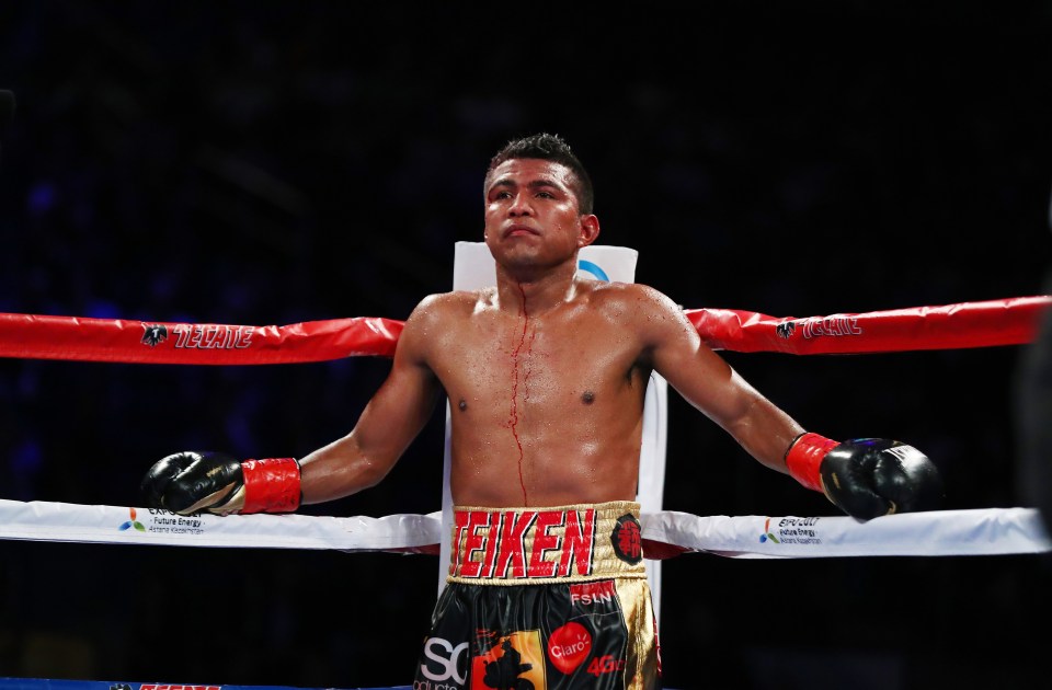 Former super-flyweight world champion Roman 'Chocolatito' Gonzalez
