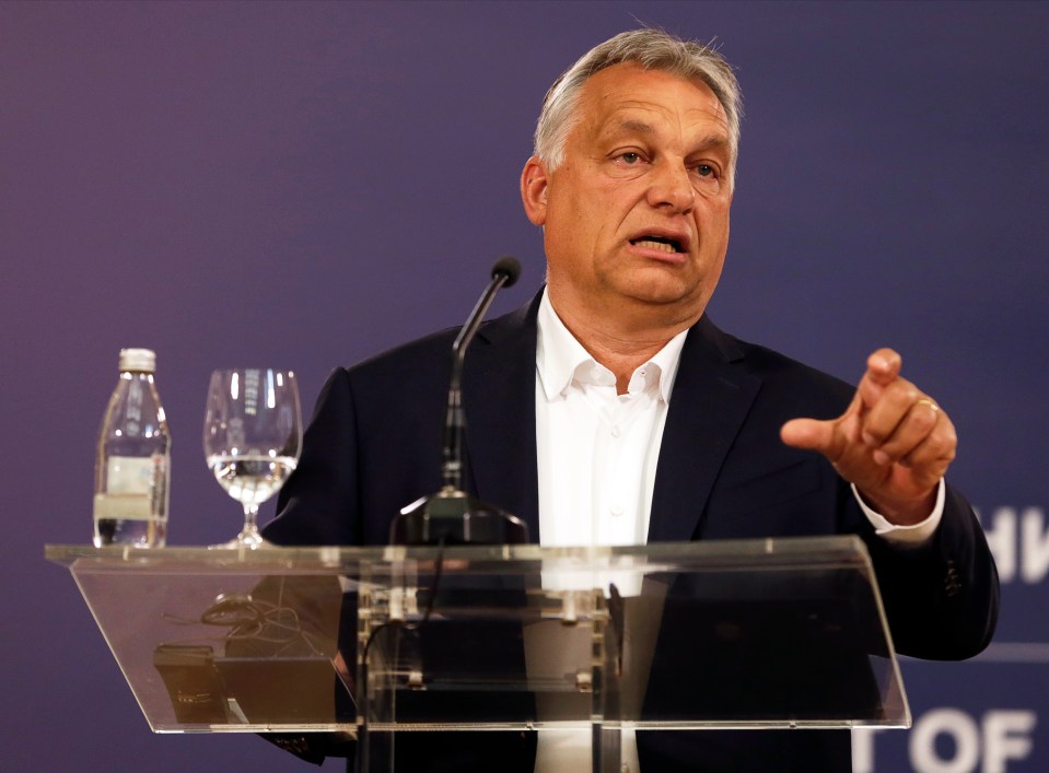 Orban said his rejection of the budget plans were linked to his continued opposition to mass immigration into the EU