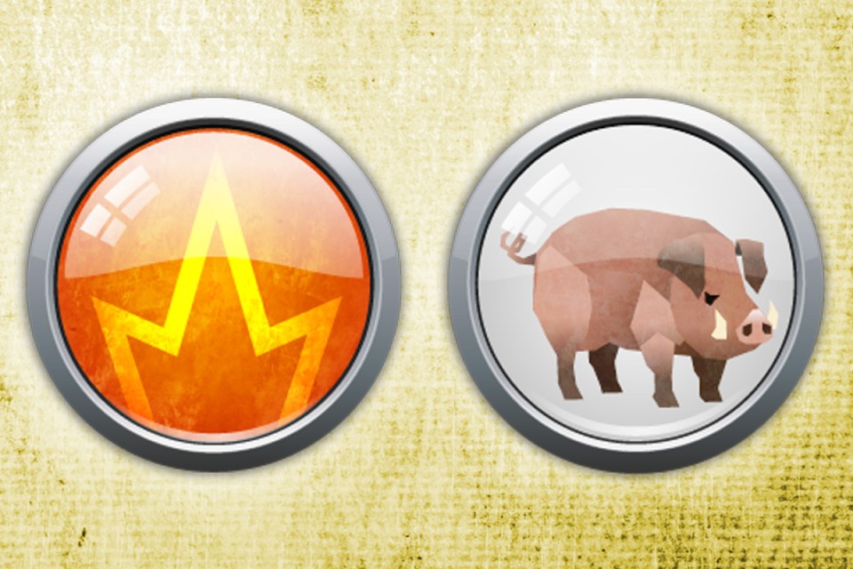 Fire Pigs are thought to live inconsistent lives