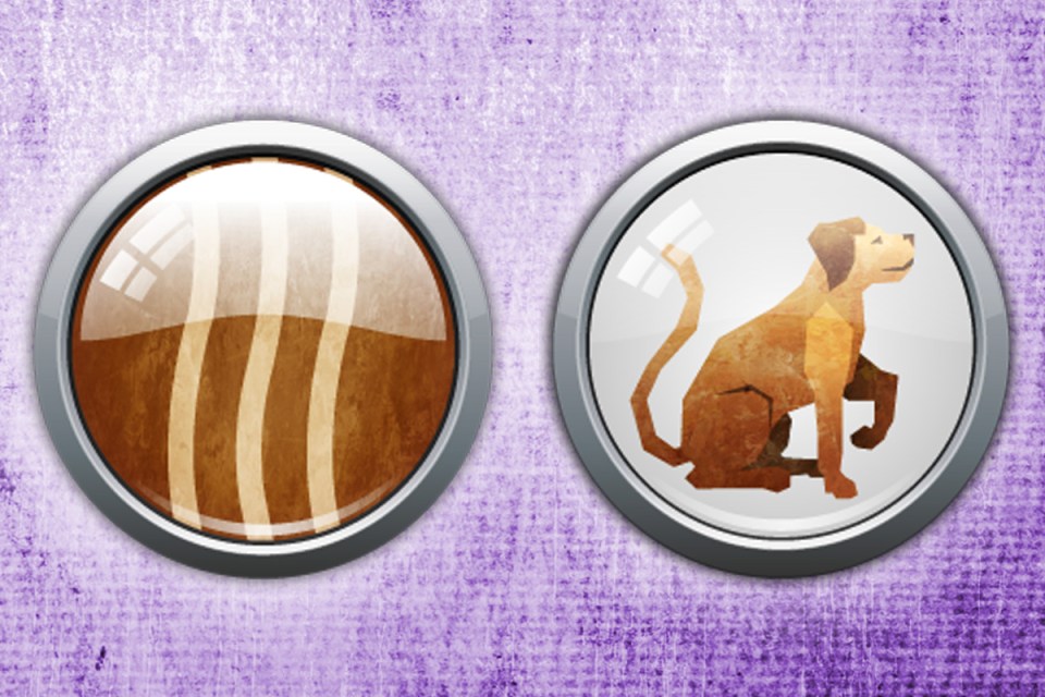  The dog is the eleventh animal in the zodiac