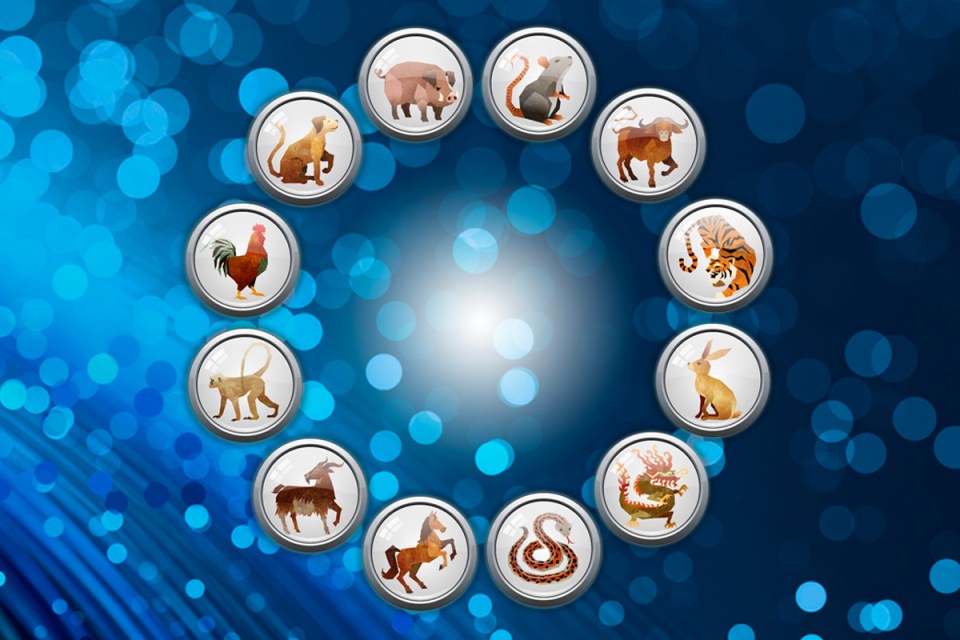 There are 12 signs in the Chinese zodiac