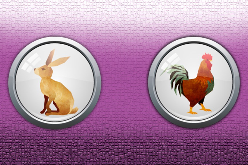 The Rooster and the Rabbit are not a recommended match