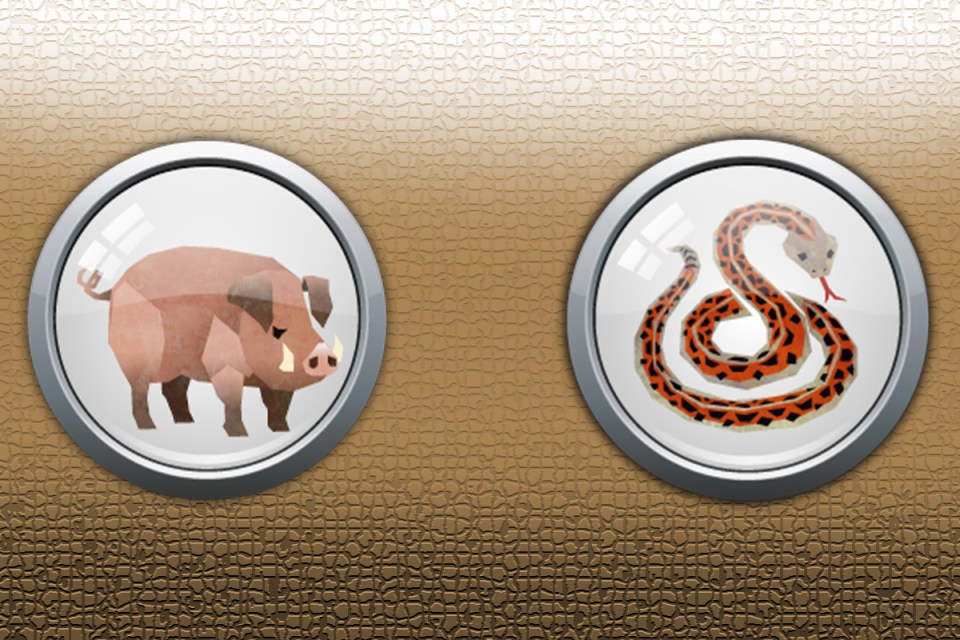 The Pig and the Snake are not a recommended match