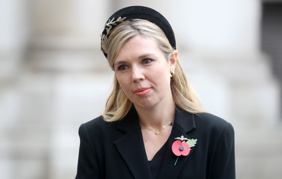 Carrie Symonds is claimed to have attacked the PM's idea of making Cain chief of staff