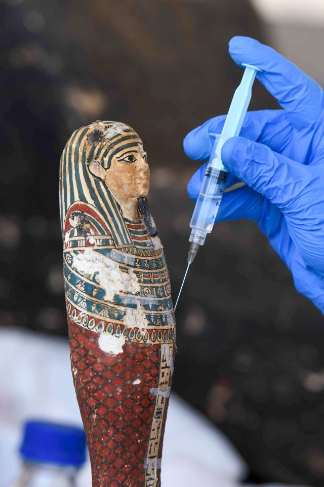 Experts will carefully examine each amazing find