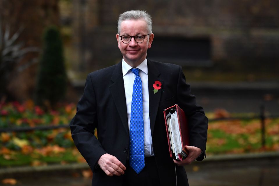A source said: 'It’s not a secret that the Treasury has always been anti-No Deal and Michael Gove has concerns about the Union'