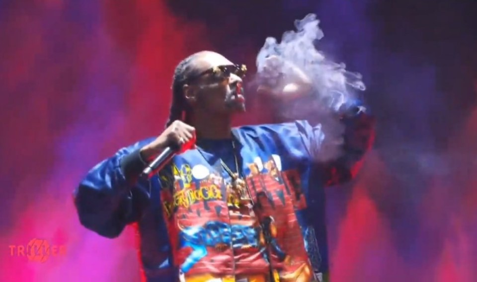 Before the boxing started Snoop Dogg performed while smoking a blunt