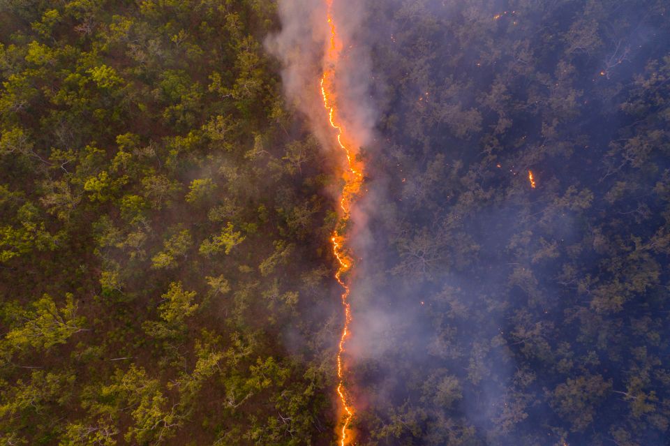 Robert Irwin captured a snap of an Australian bushfire
