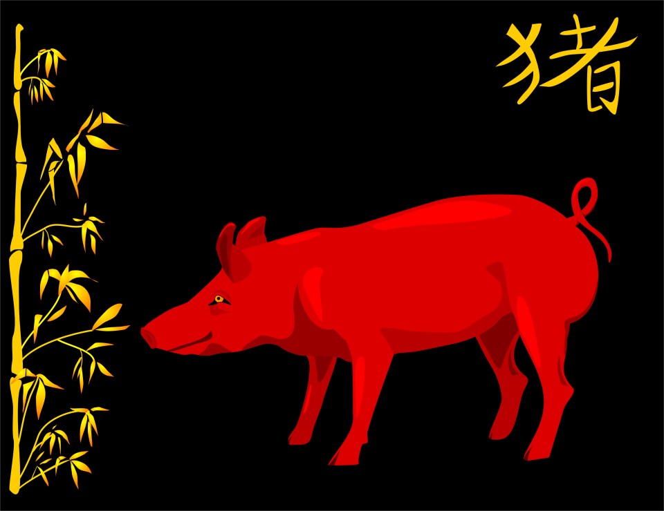 Fire Pigs are a sub-component of the Pig in the Chinese Zodiac