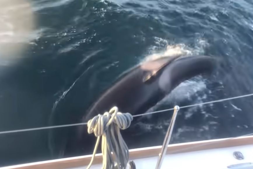 The attack off the coast of Portugal is one of a number of recent incidents
