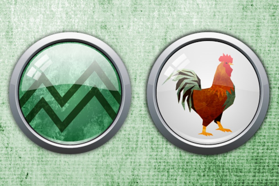 Earth Rooster