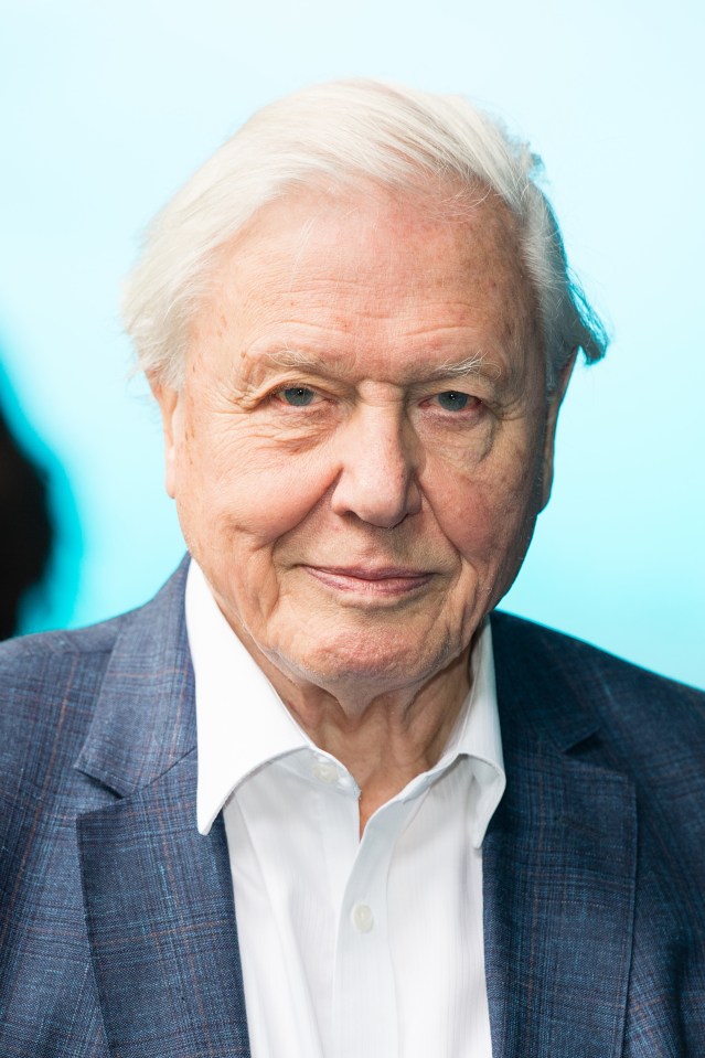Sir David Attenborough narrates British nature series 'Our Planet'