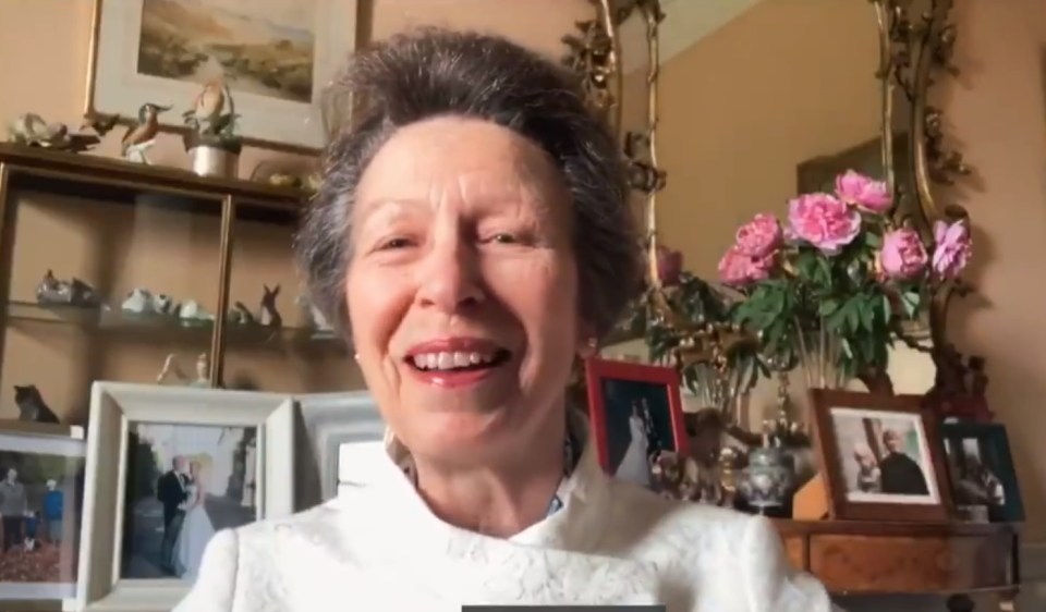 Princess Anne joined a Zoom chat with The Queen