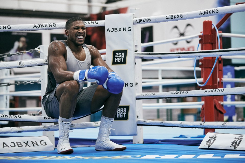 Joshua defends his unified titles against Pulev 