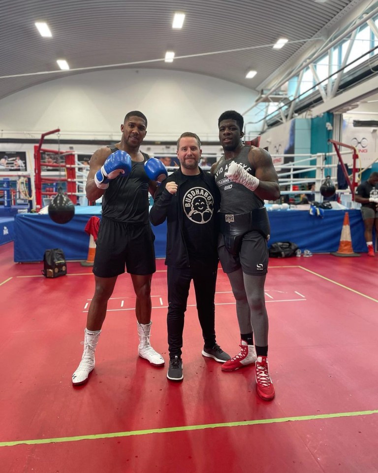 David Adeleye has sparred both Joshua and Tyson Fury 